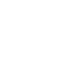 Icon of a single family home